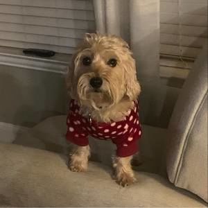 Meet your Posher, Rocky berry